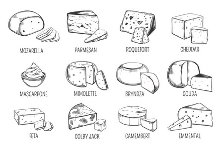 奶酪类型的独立草图集