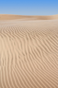 沙漠砂丘
