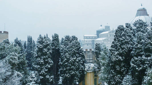 比萨鸟瞰图雪, 奇迹广场