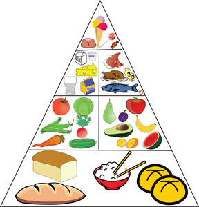 食物金字塔立体贺卡图片