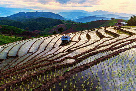 乒乓球 Piang 稻田在山上的梯田, 旅游, 景观, 在清迈, 泰国