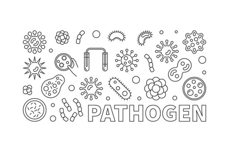 病原体矢量概念线水平图示或横幅