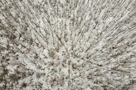 冬景森林鸟瞰与雪无人机