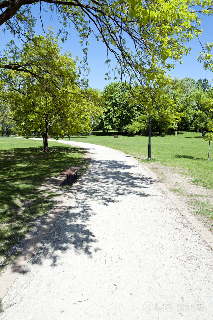 在夏天的公园路