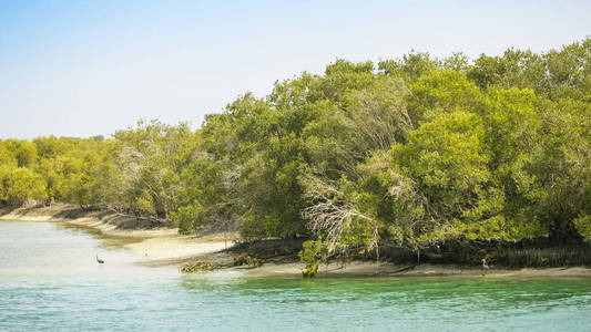 朝阳的阿布达比图片