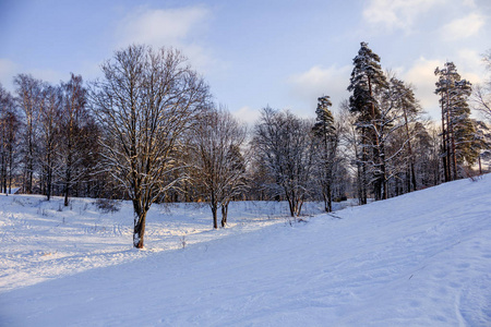 Gatchina 公园阳光明媚的一天, 俄罗斯