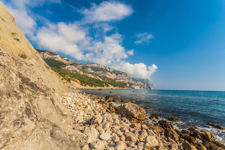 松树的海岸线