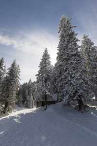 在瑞士, Langis 的冬季徒步旅行路线引领着一个新鲜的雪景色。