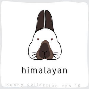 喜马拉雅 兔品种收藏 矢量插画