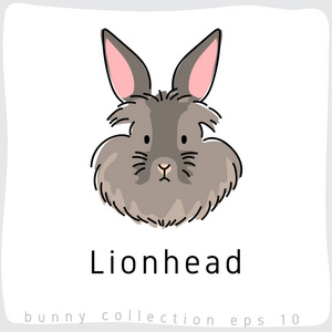 Lionhead 兔子品种收藏 向量例证