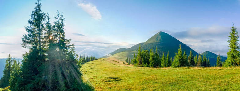 夏日清晨喀尔巴阡山的山间空地全景