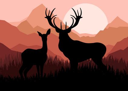 野生山自然景观中鹿家庭夫妇剪影