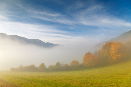 雾中的秋季景观