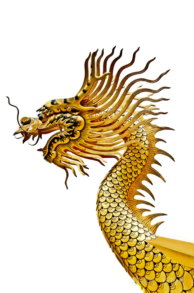 孤立在白色背景上的龙状态