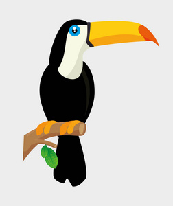 巨嘴鸟热带鸟图标