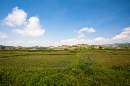 山景