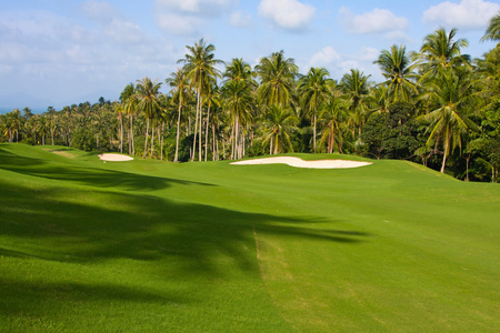 一个美丽的绿色高尔夫球的景观