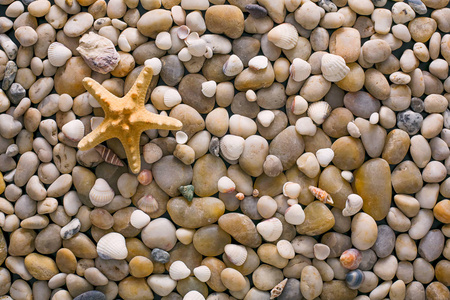 海小石子和贝壳背景 天然海滨石头和海星
