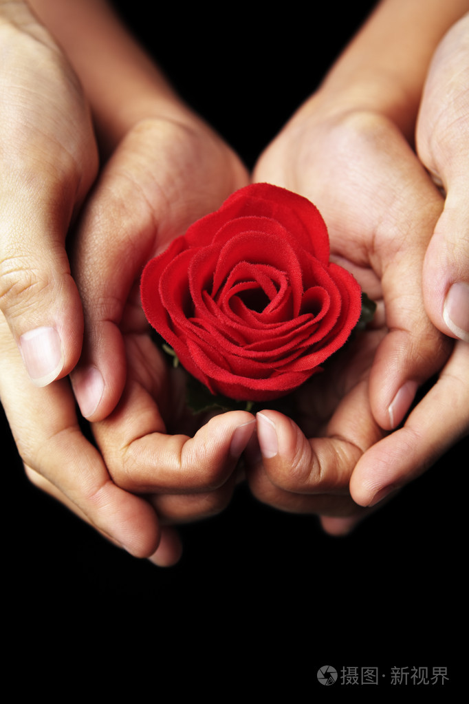 手握玫瑰的唯美图片图片