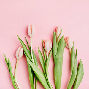 粉红色的粉红色郁金香花花束的背景。平躺, 顶部视图。最小花 flatlay 概念
