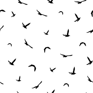 白色背景下的黑色飞鸟无缝抽象图案照片