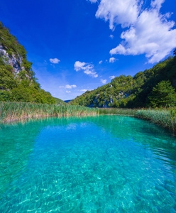 春天湖面图片-春天湖面素材-春天湖面插画-摄图新视界