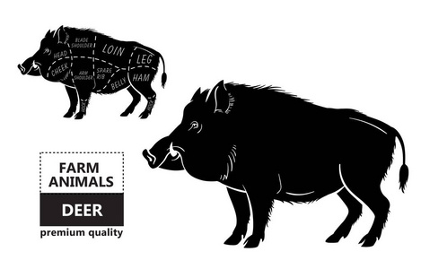 野生猪, 野猪游戏肉类切割图方案在黑板上设置的元素