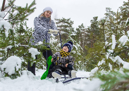 年轻的女孩, 母亲, 与她的小儿子在冬季森林散步。冬季运动会。雪女。雪橇。雪球