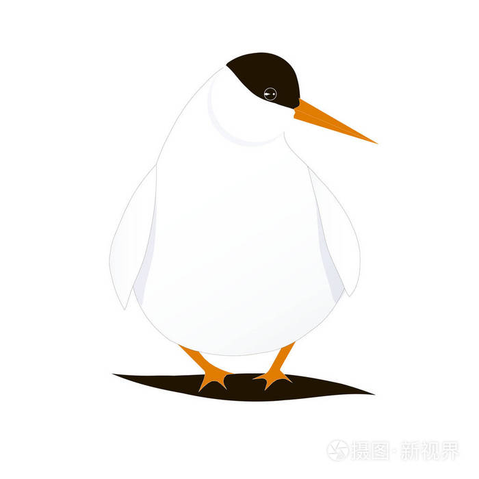 卡通鸟北极燕鸥股票矢量插图为网页为印刷品北极动物区系