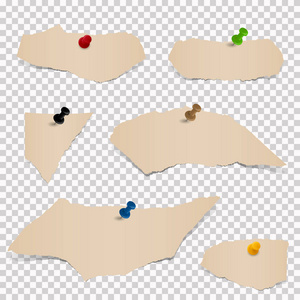 碎纸片贴画收集棕色纸屑照片