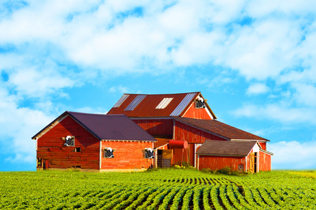 美国农村牛奶农场照片