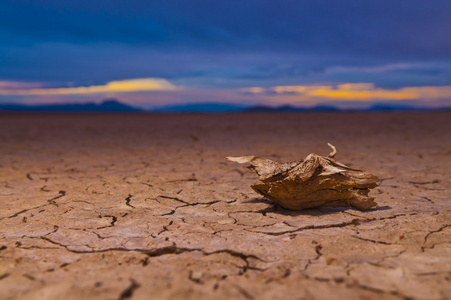 干涸的湖，在死亡谷