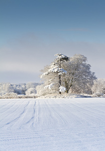 大雪覆盖的英国乡下