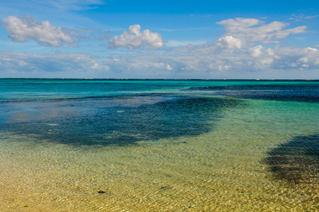 热带海洋背景