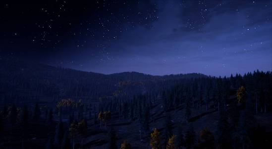 星空下的高山森林观图片