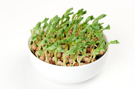 白瓷碗雪豌豆 microgreen