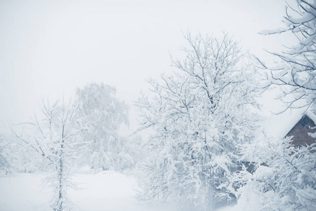 村里的冬天下雪了。雪塌