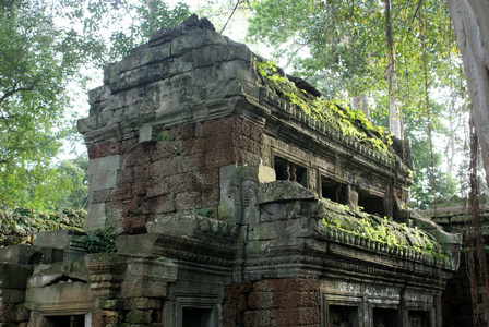 古代 ta 普龙寺在吴哥，木棉树消耗古代遗址，柬埔寨