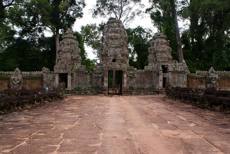 古代 ta 普龙寺在吴哥，木棉树消耗古代遗址，柬埔寨