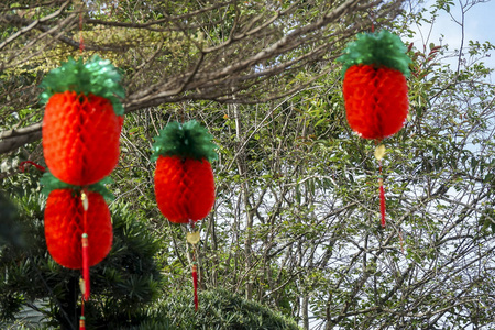 春节期间花园里的中国灯笼图片