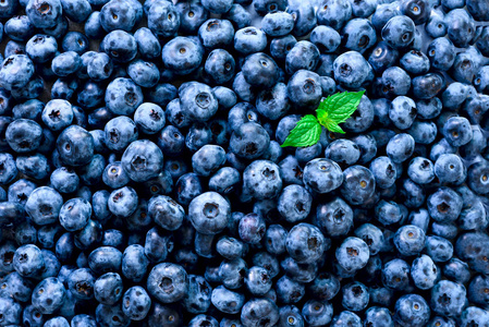 新鲜蓝色背景 夏季水果的多汁纹理