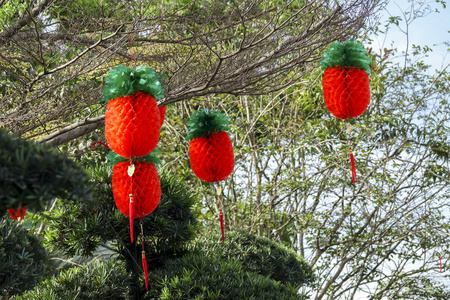 春节期间花园里的中国灯笼