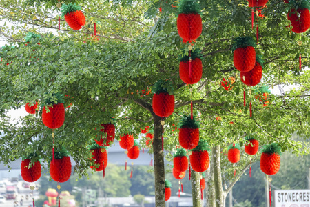 春节期间花园里的中国灯笼