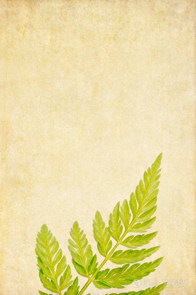 土黄色背景图像与花卉元素