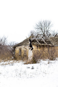 在乌克兰村庄的老粘土房子。在雪地里毁了粘土屋。被毁坏的黏土房子和枯萎的树
