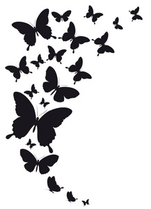 邮政卡与收集黑色飞蝶分离在白色背景, 矢量, 例证照片