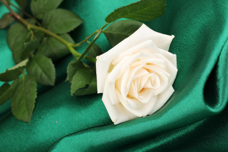 美丽的玫瑰之绿布