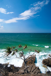 努萨海滩queendsland澳大利亚