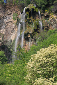 保加利亚 Zemen 山上美丽的波兰公司 Skakavitsa 瀑布图片