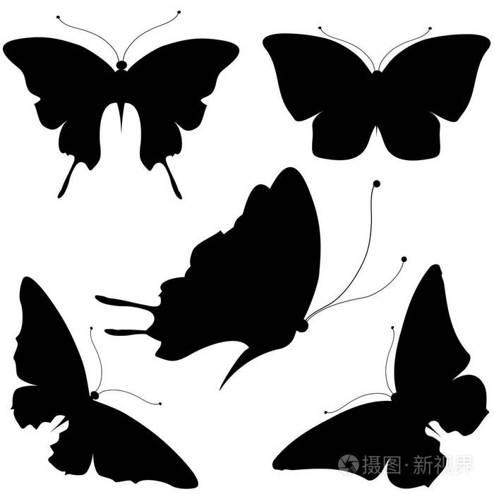邮政卡与收集黑色飞蝶分离在白色背景, 矢量, 例证